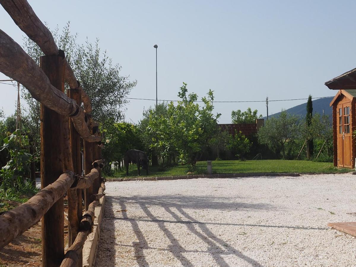 La Casa Di Samarcanda Uliveto Terme Eksteriør billede