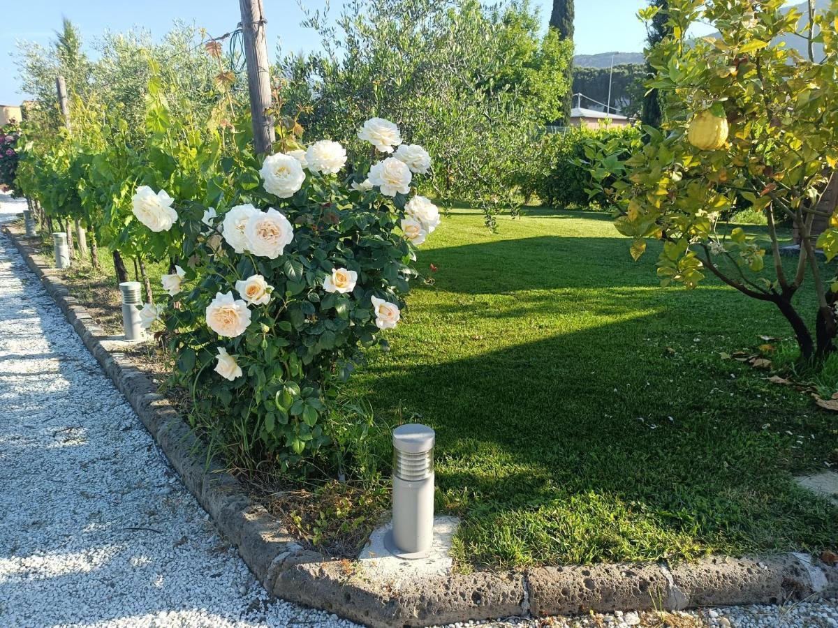 La Casa Di Samarcanda Uliveto Terme Eksteriør billede